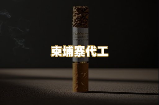 柬埔寨代工